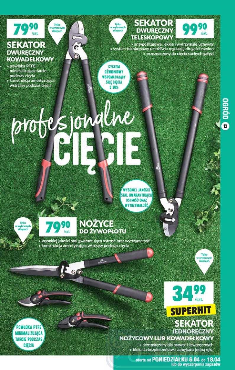 Gazetka promocyjna Biedronka str. 13