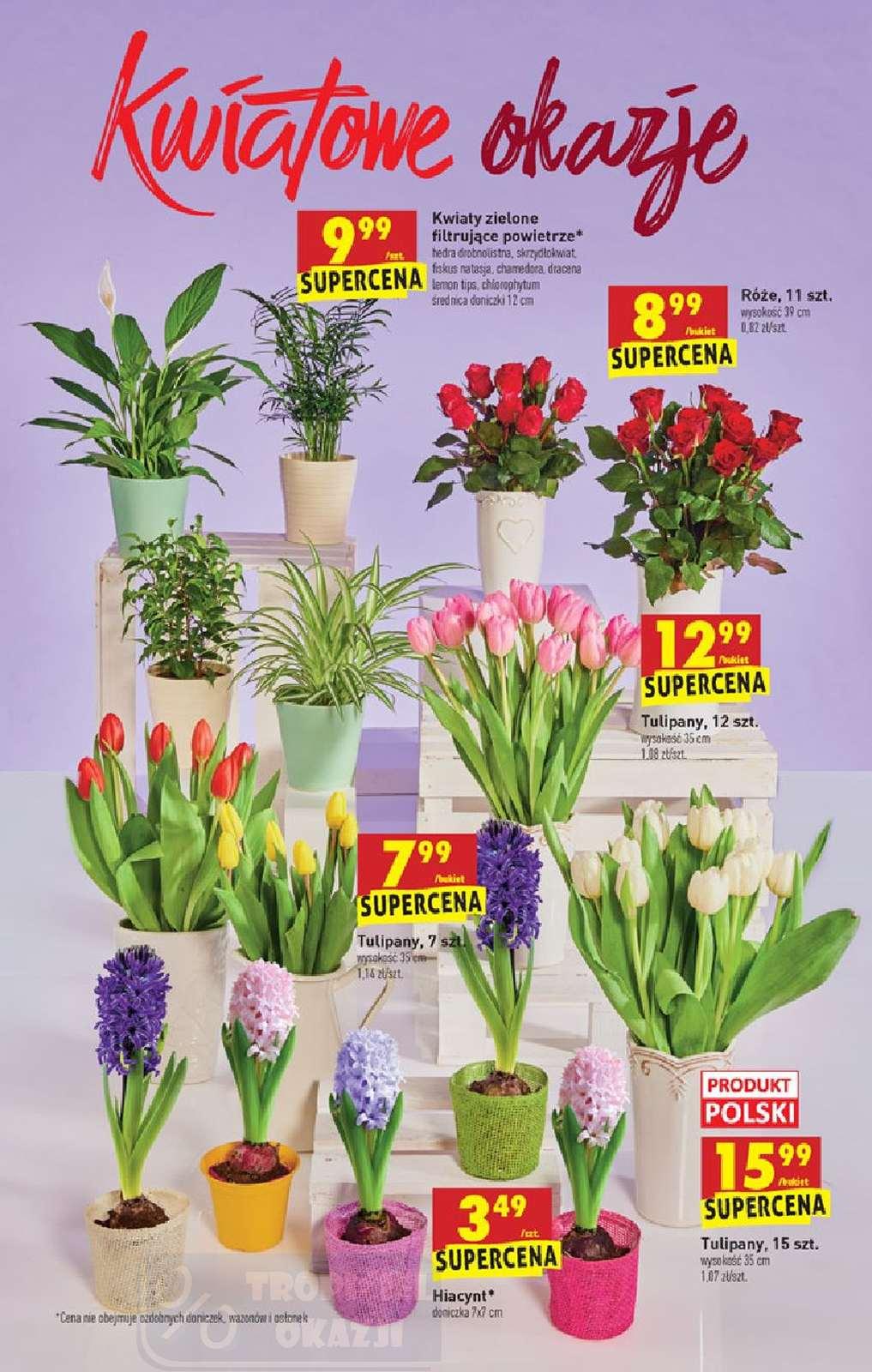 Gazetka promocyjna Biedronka str. 64