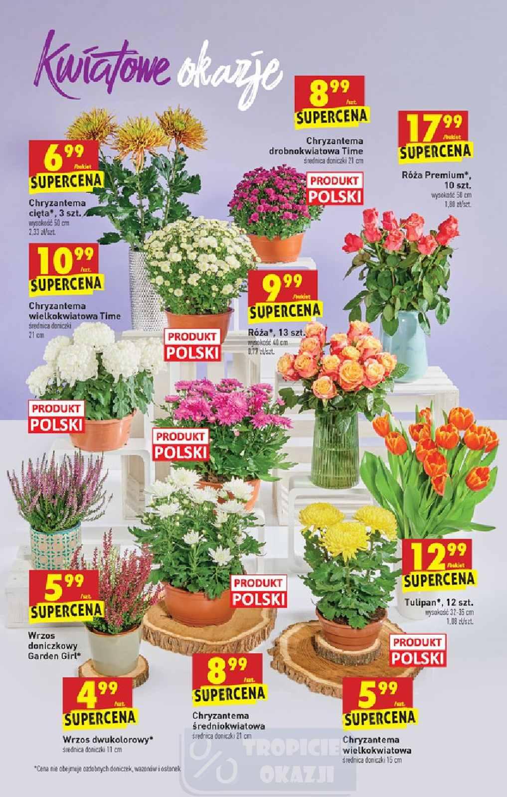 Gazetka promocyjna Biedronka str. 19