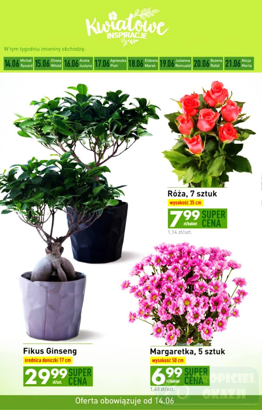 Gazetka promocyjna Biedronka str. 39