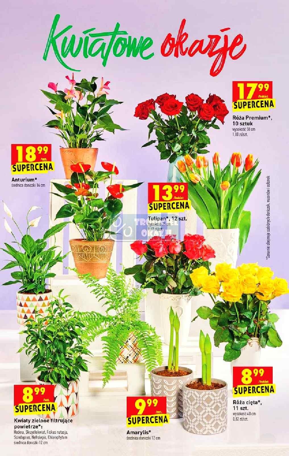 Gazetka promocyjna Biedronka str. 13