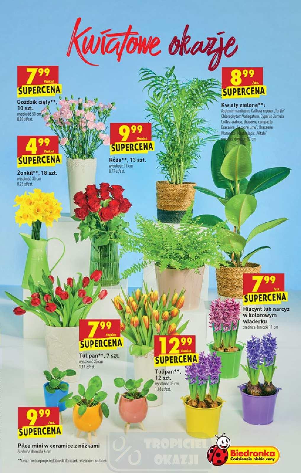 Gazetka promocyjna Biedronka str. 51