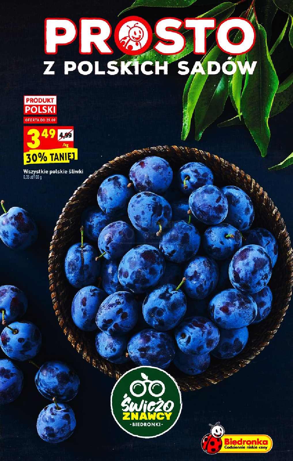 Gazetka promocyjna Biedronka str. 13