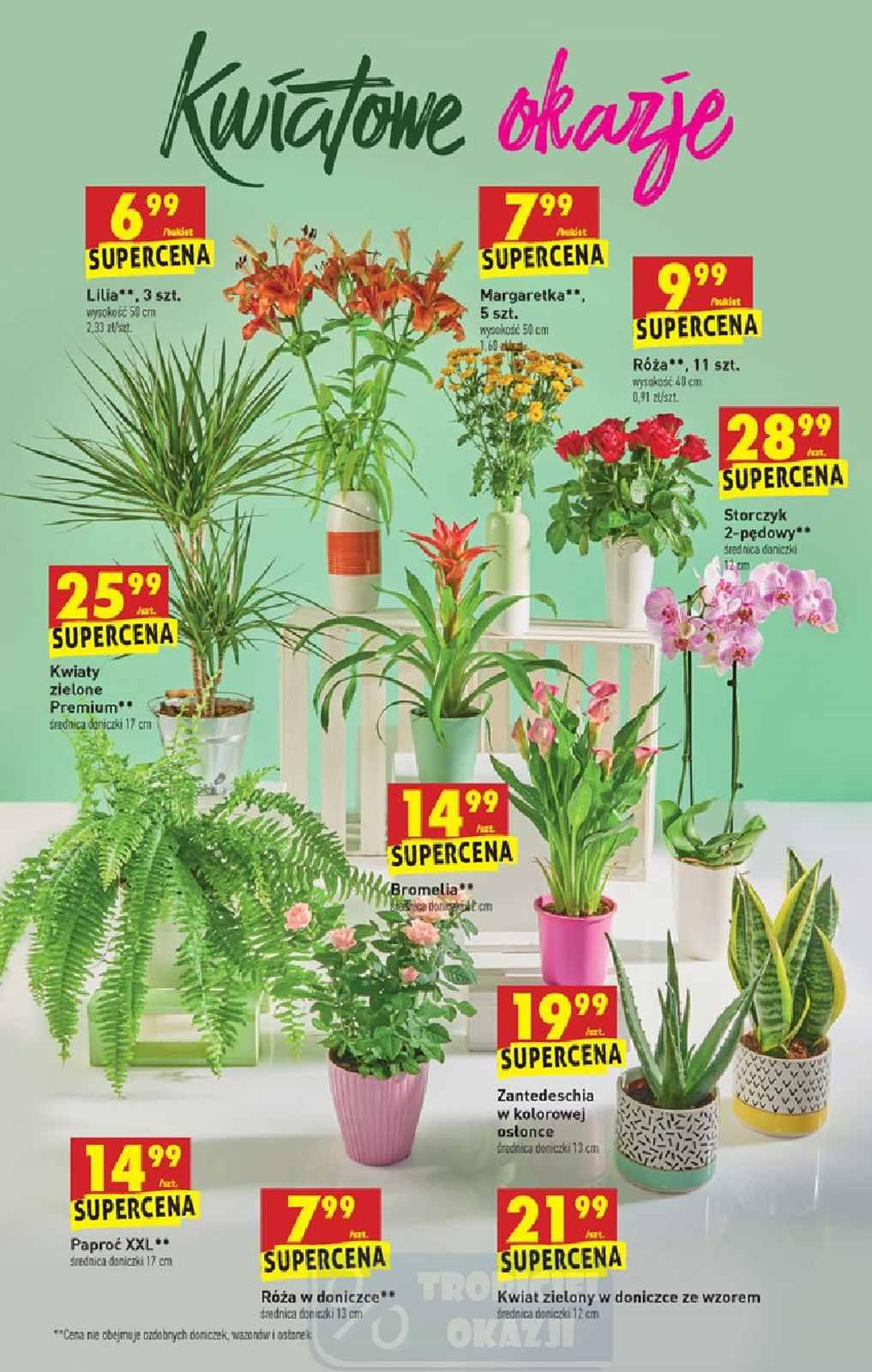 Gazetka promocyjna Biedronka str. 47