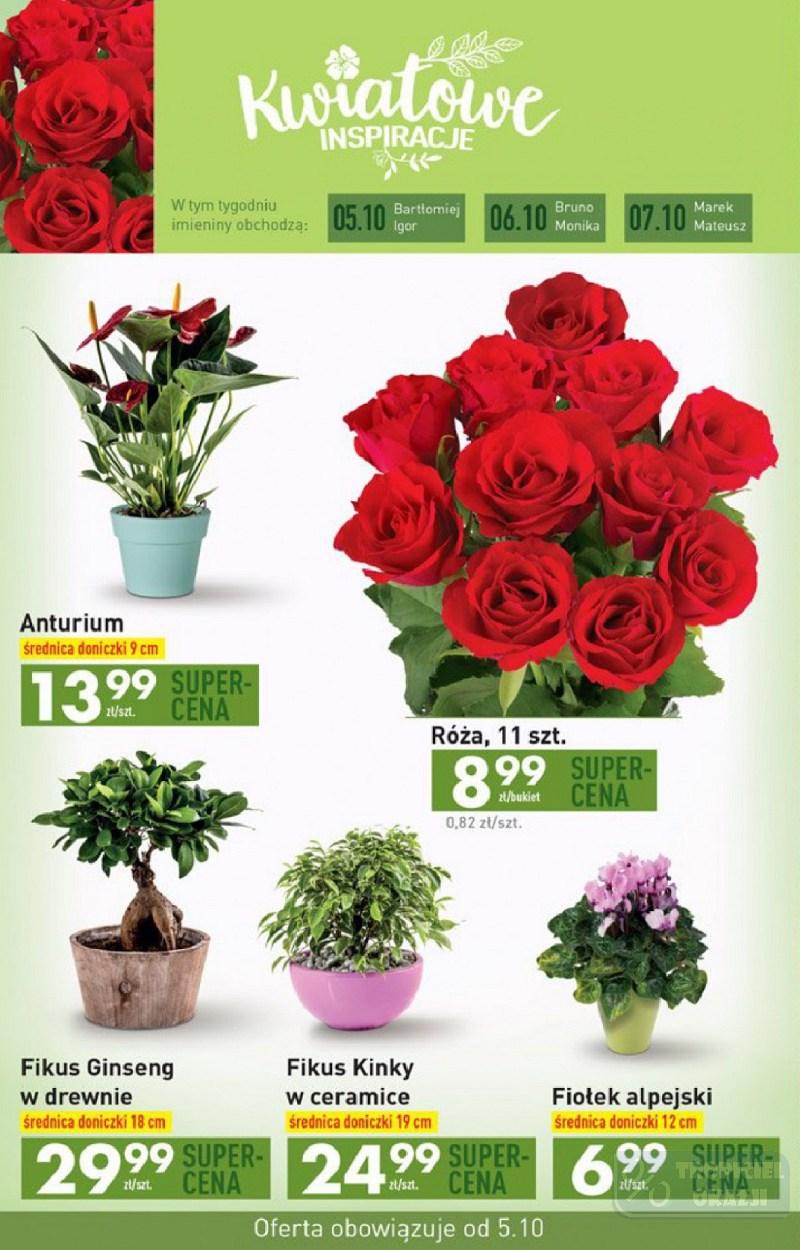 Gazetka promocyjna Biedronka str. 28