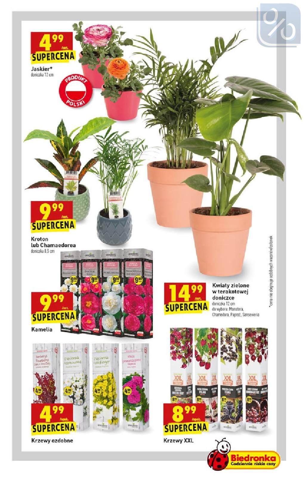 Gazetka promocyjna Biedronka str. 63