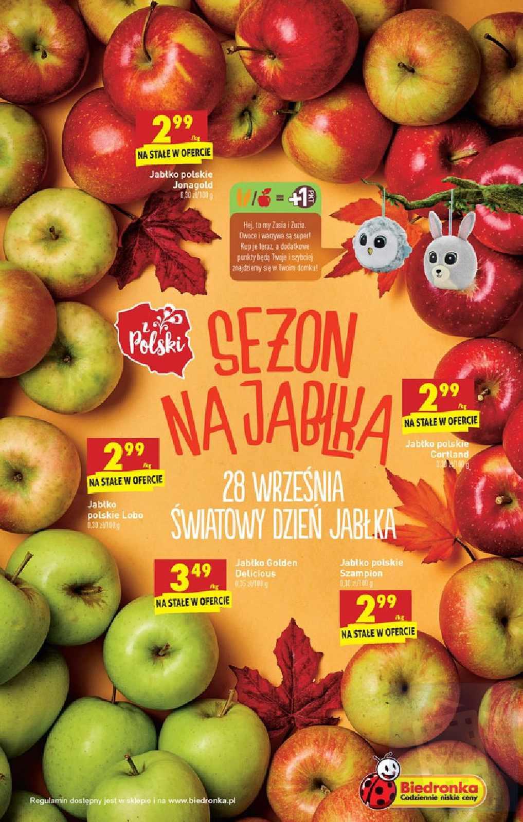 Gazetka promocyjna Biedronka str. 13