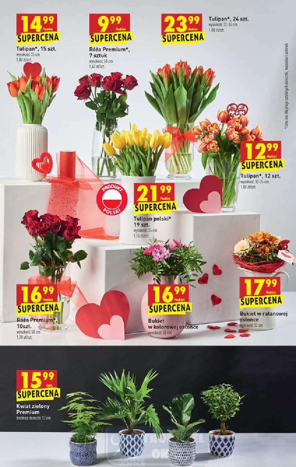 Gazetka promocyjna Biedronka str. 55