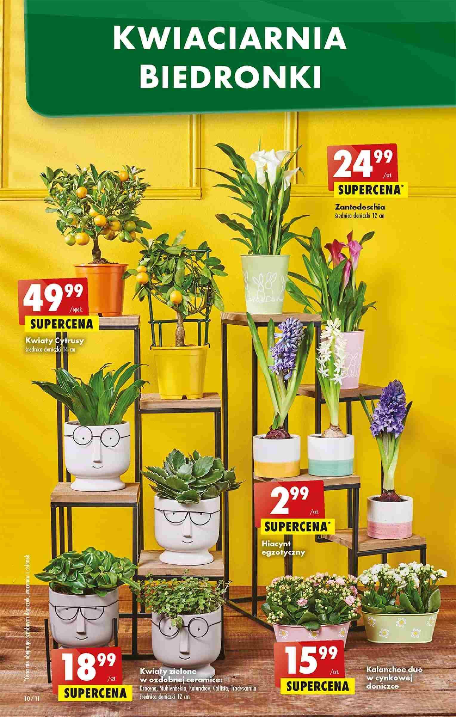 Gazetka promocyjna Biedronka str. 10