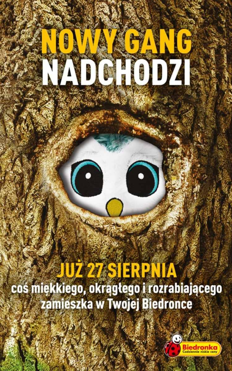 Gazetka promocyjna Biedronka str. 40