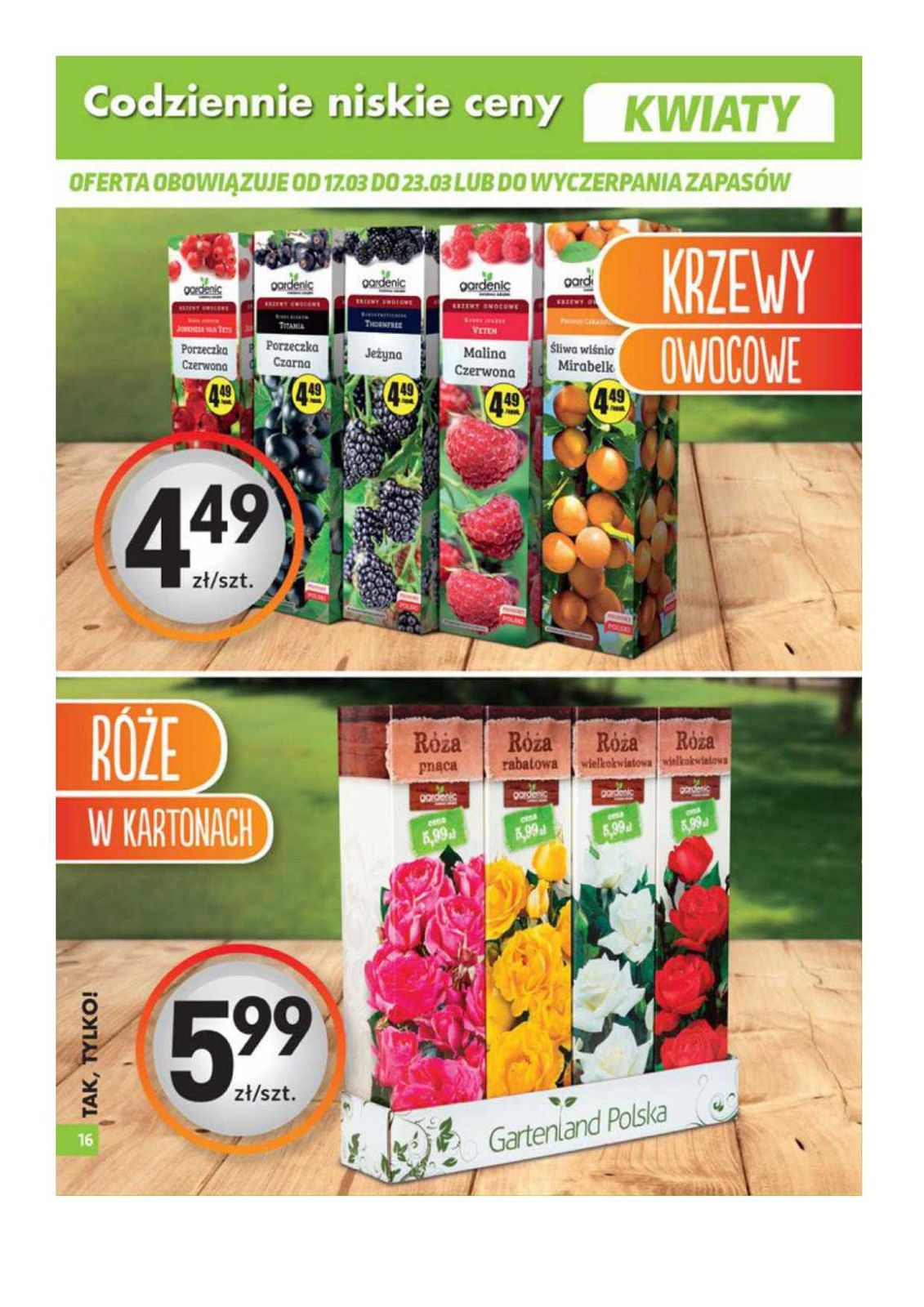 Gazetka promocyjna Biedronka str. 15