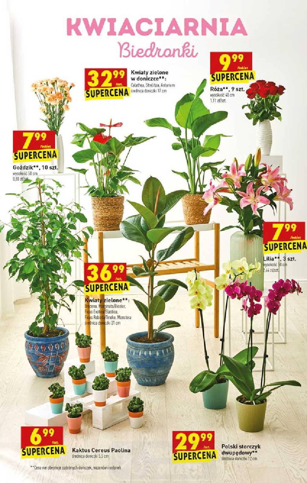 Gazetka promocyjna Biedronka str. 53