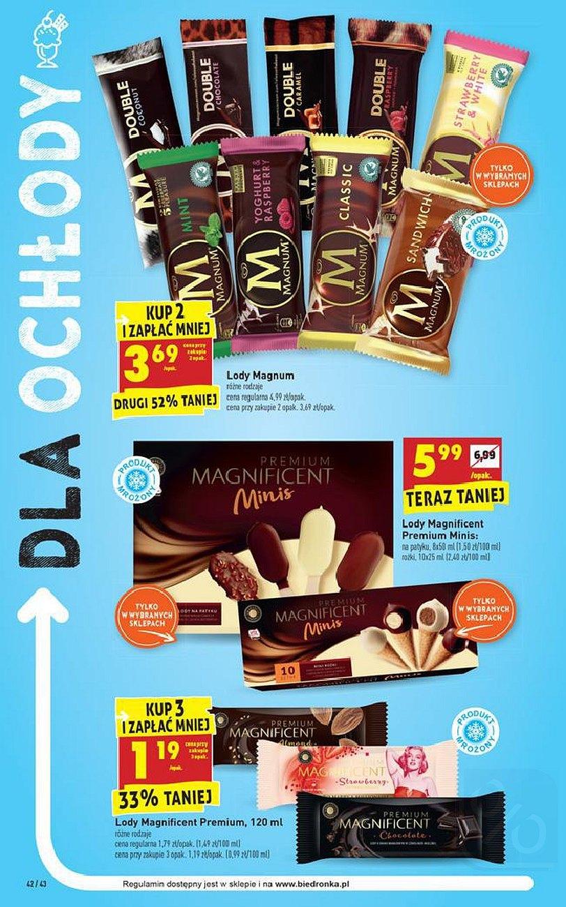 Gazetka promocyjna Biedronka str. 42