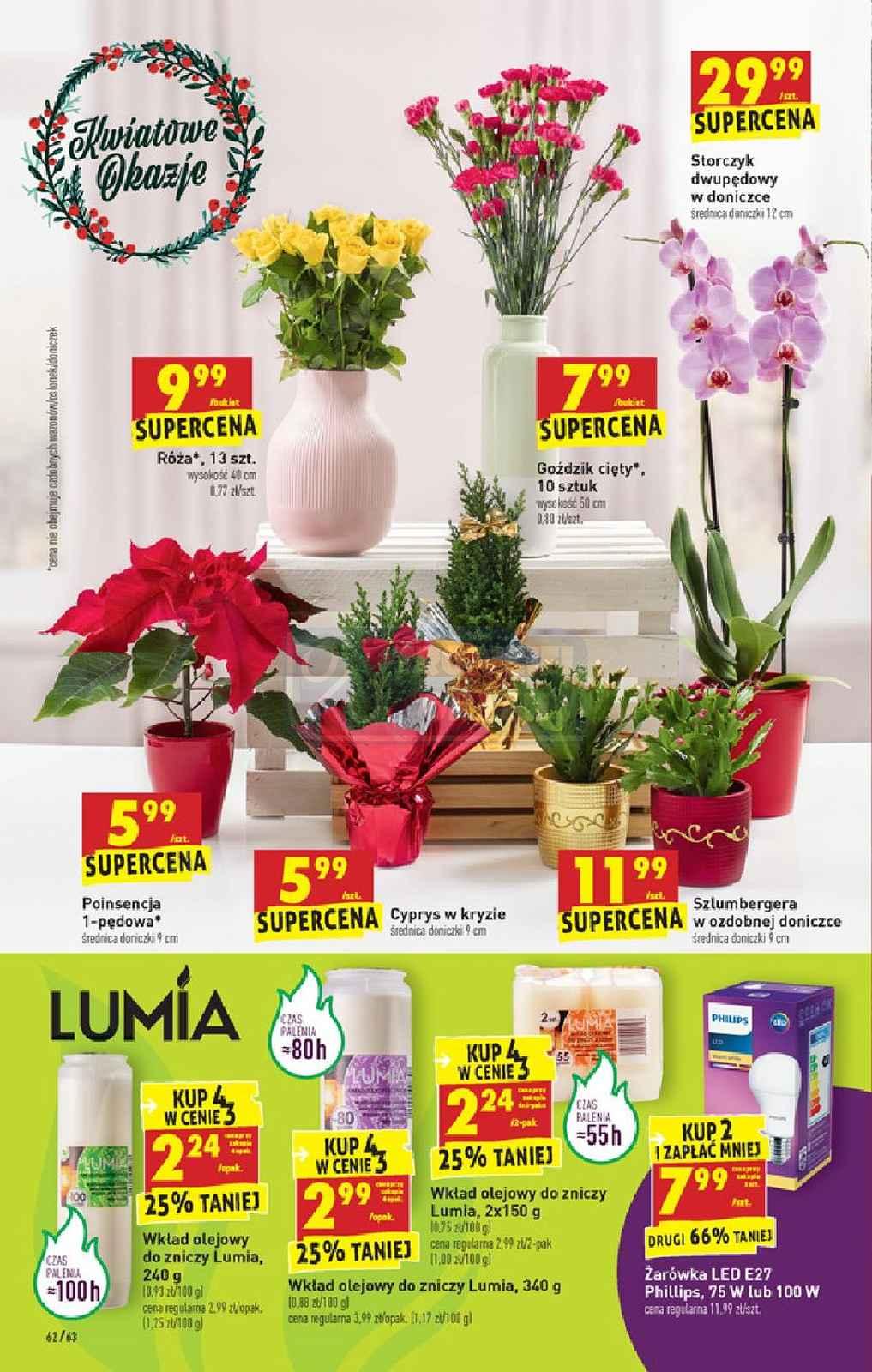 Gazetka promocyjna Biedronka str. 62