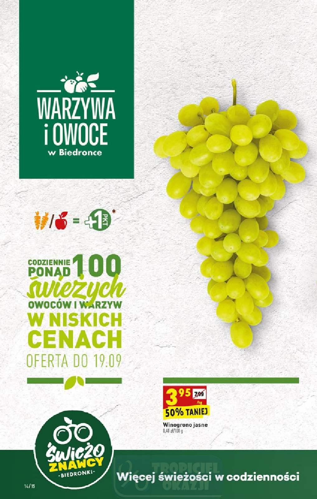 Gazetka promocyjna Biedronka str. 14