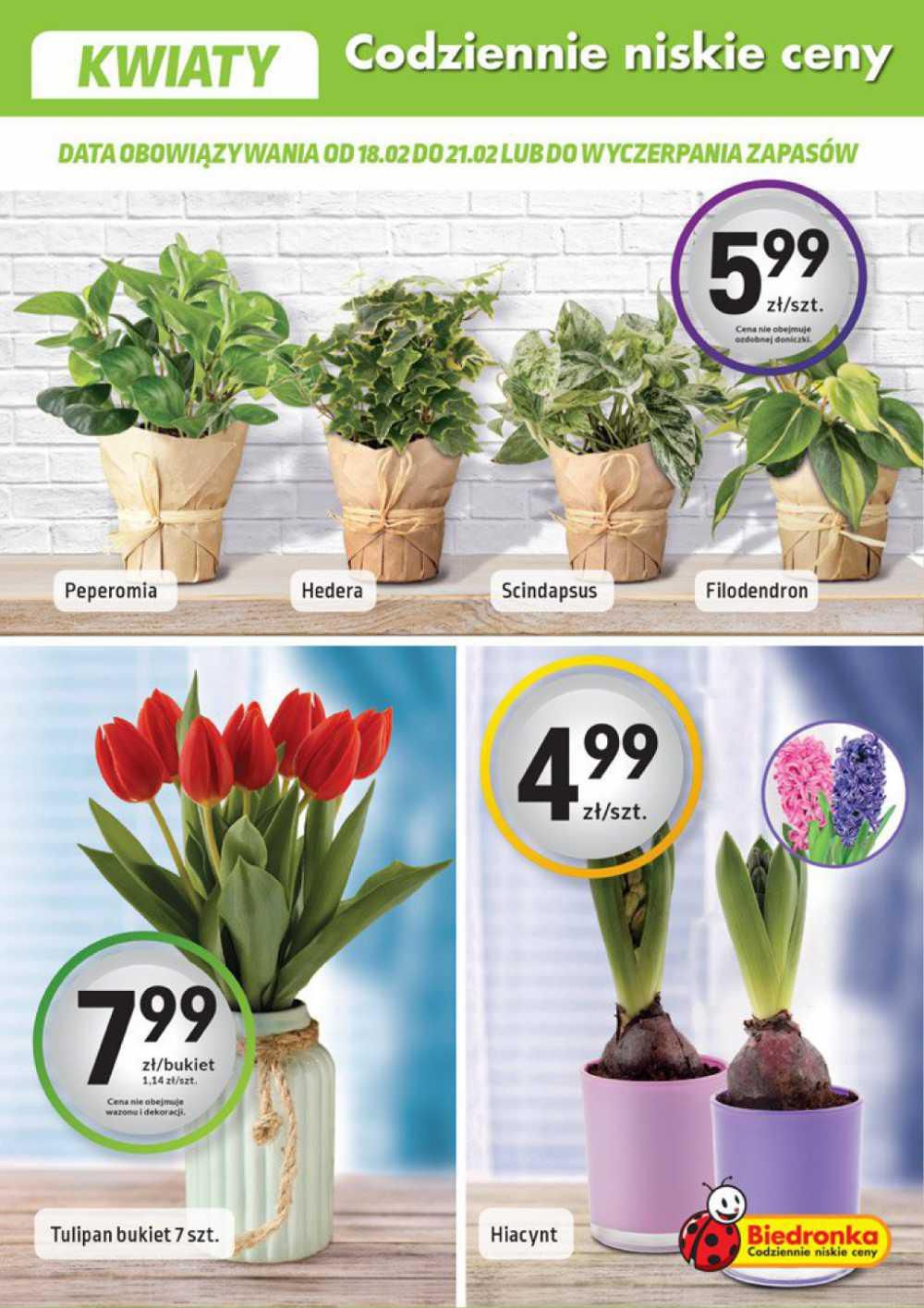 Gazetka promocyjna Biedronka str. 19