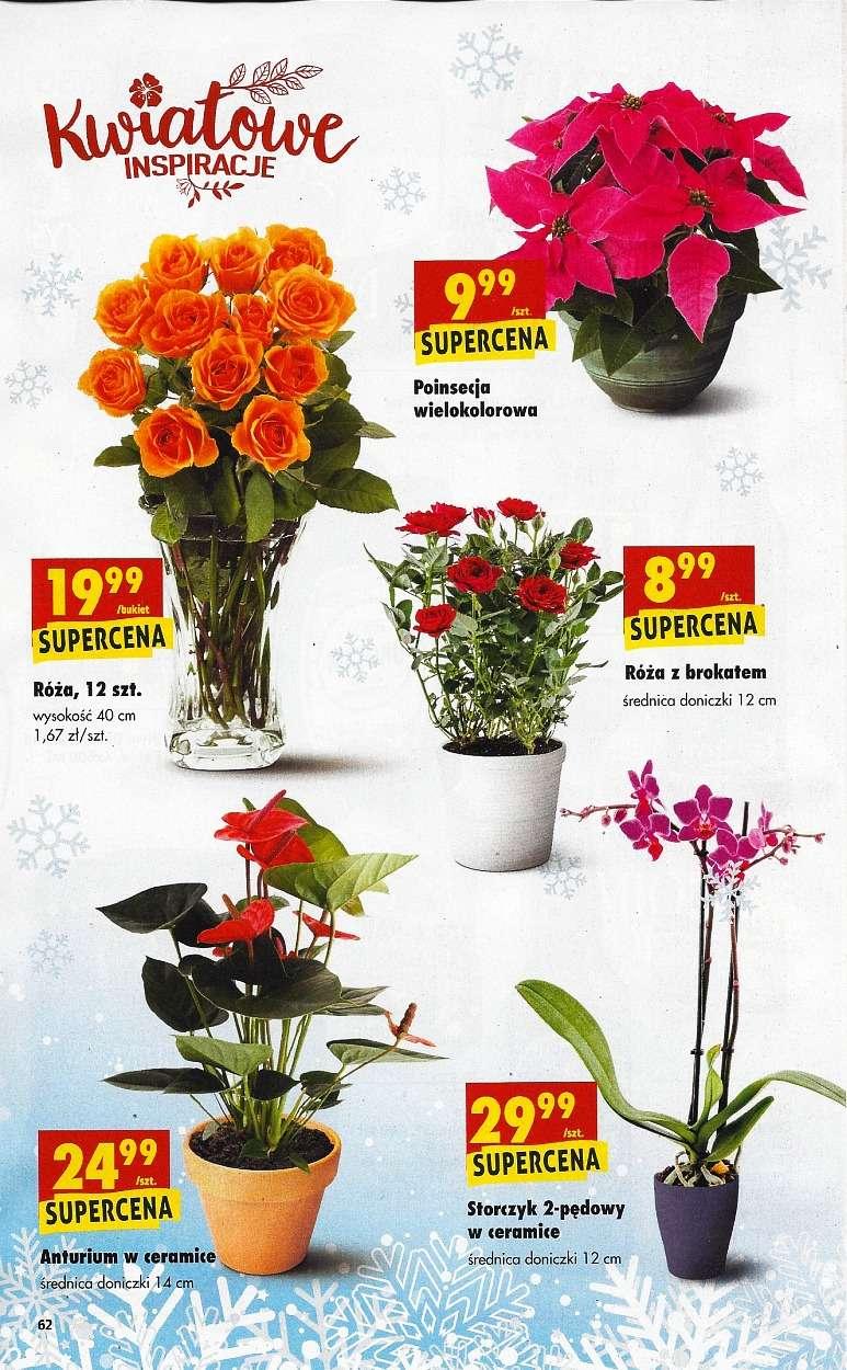 Gazetka promocyjna Biedronka str. 62