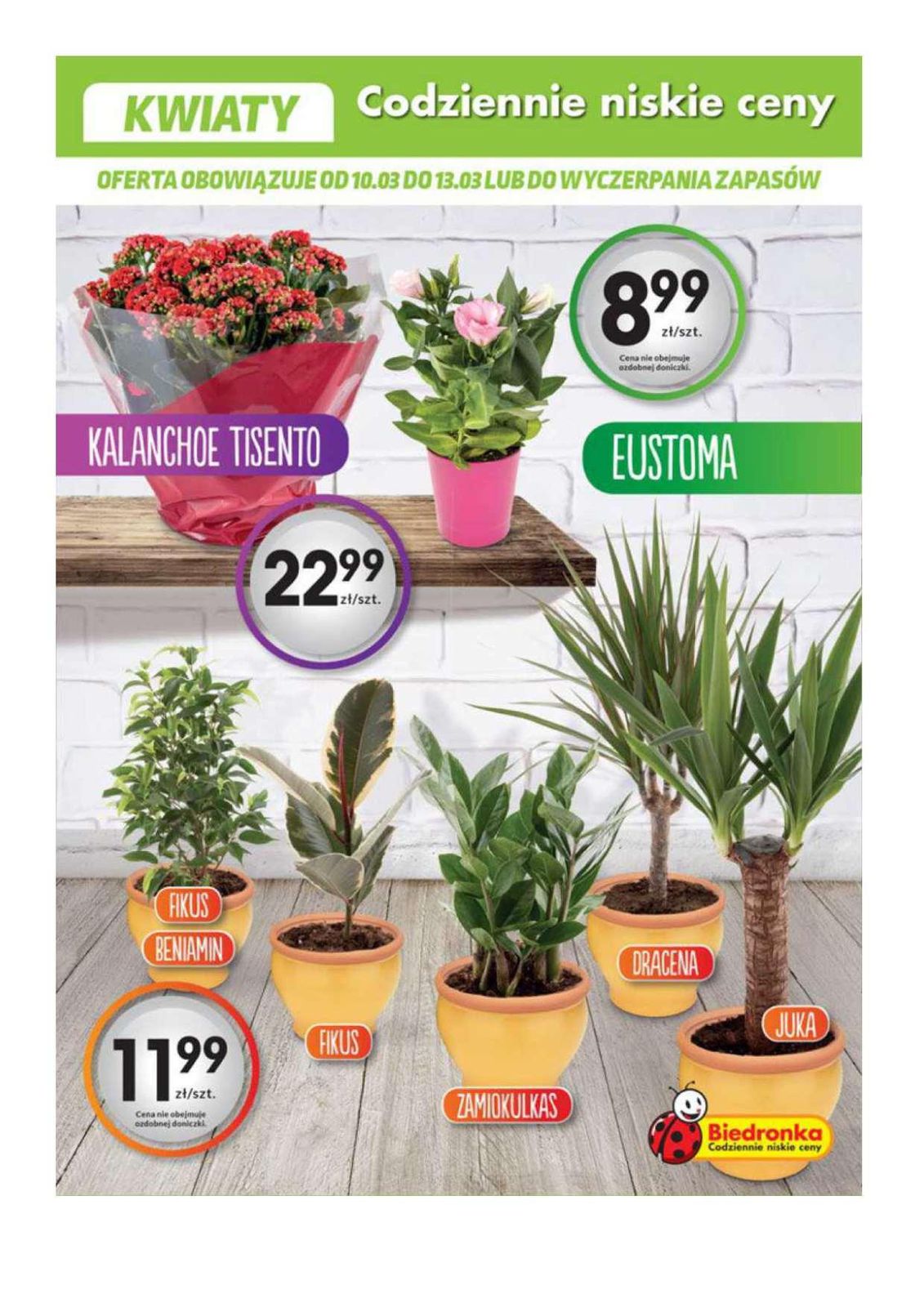 Gazetka promocyjna Biedronka str. 17