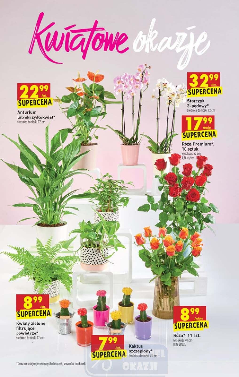 Gazetka promocyjna Biedronka str. 63