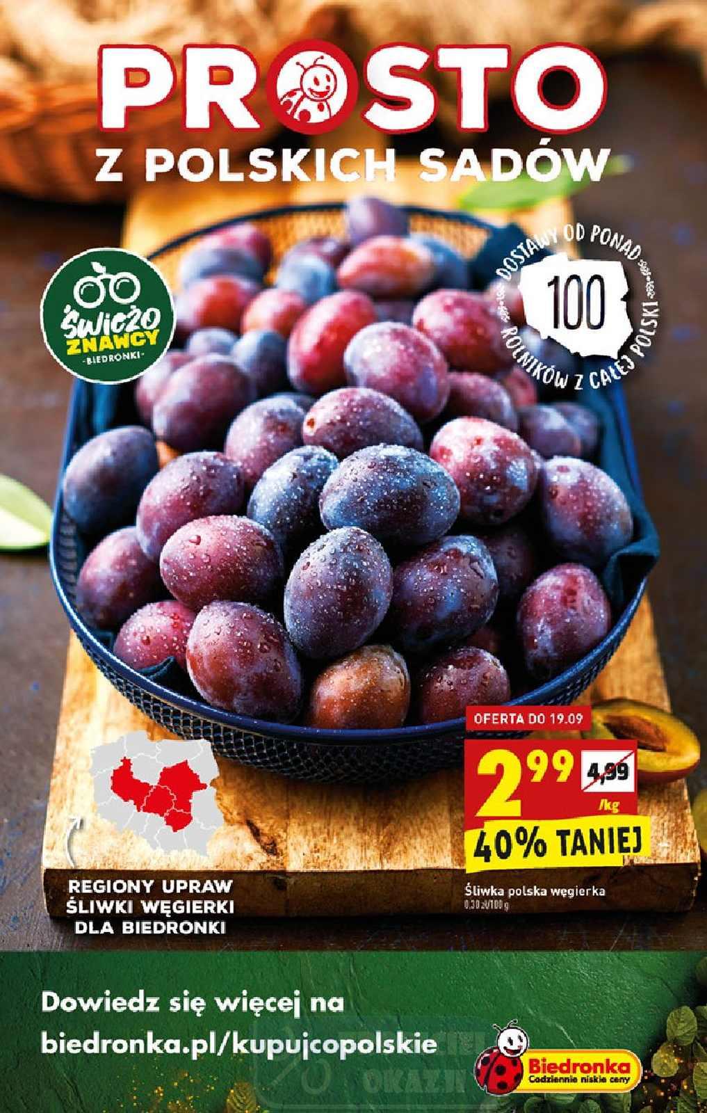 Gazetka promocyjna Biedronka str. 13