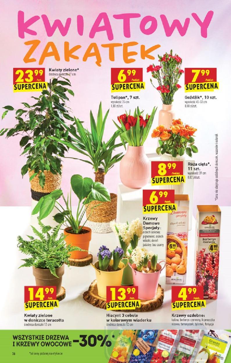Gazetka promocyjna Biedronka str. 36