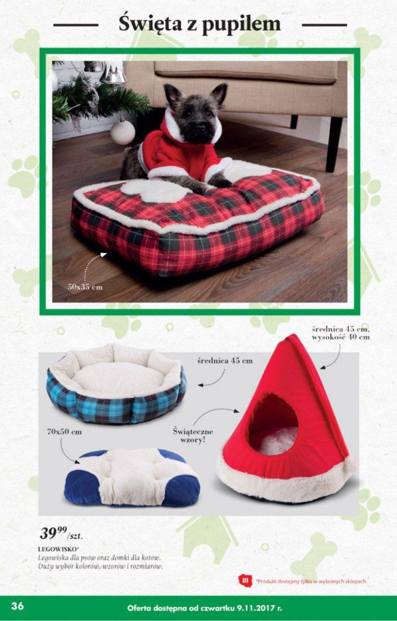 Gazetka promocyjna Biedronka str. 8