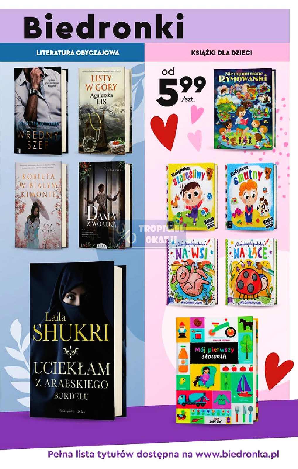 Gazetka promocyjna Biedronka str. 17