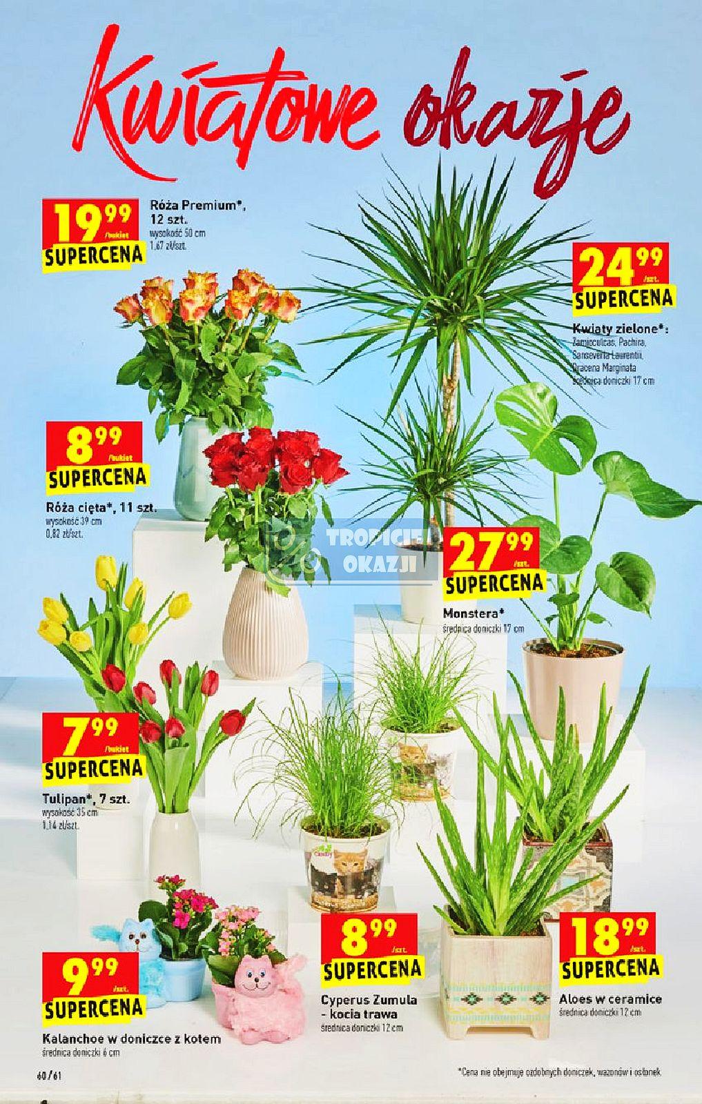 Gazetka promocyjna Biedronka str. 60