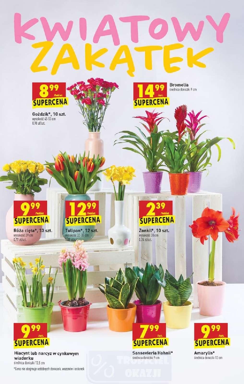 Gazetka promocyjna Biedronka str. 64