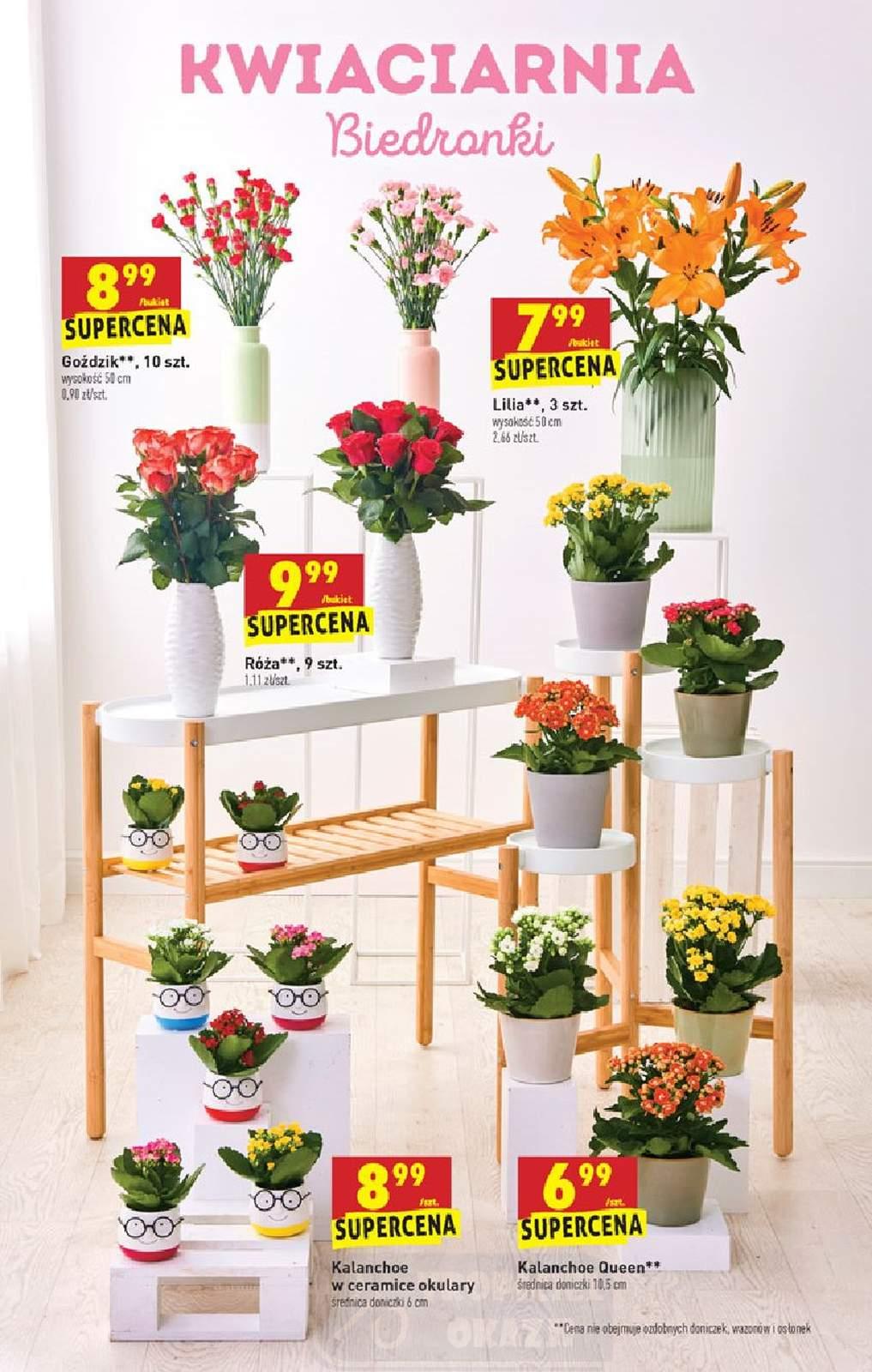 Gazetka promocyjna Biedronka str. 53