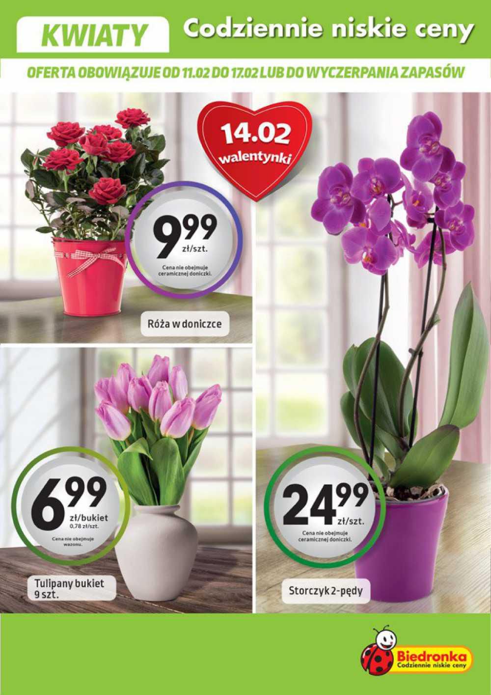 Gazetka promocyjna Biedronka str. 19