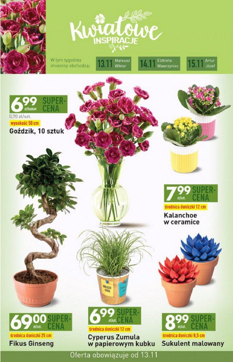 Gazetka promocyjna Biedronka str. 43