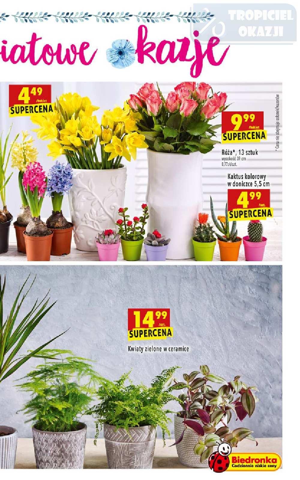 Gazetka promocyjna Biedronka str. 63