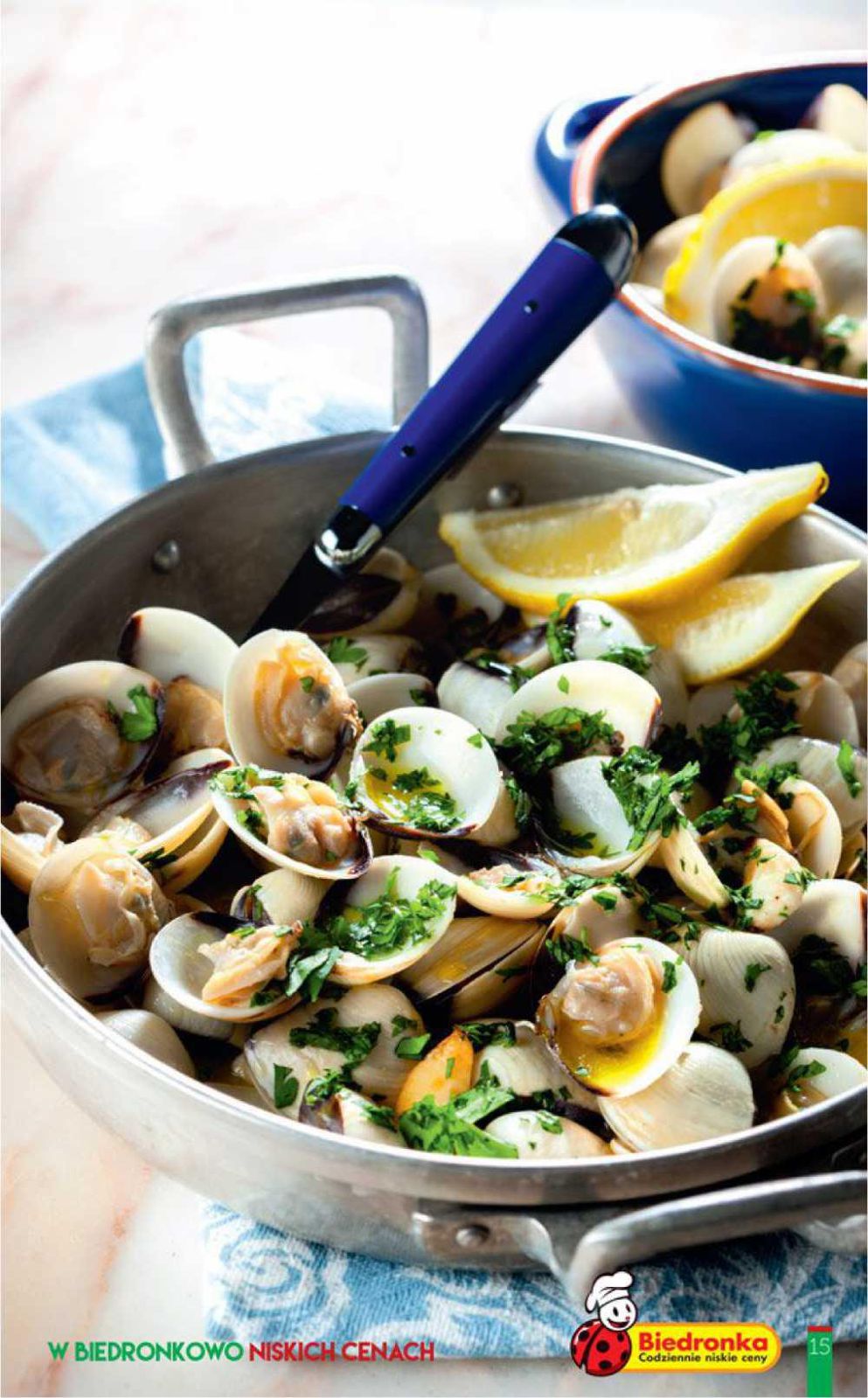 Gazetka promocyjna Biedronka str. 15