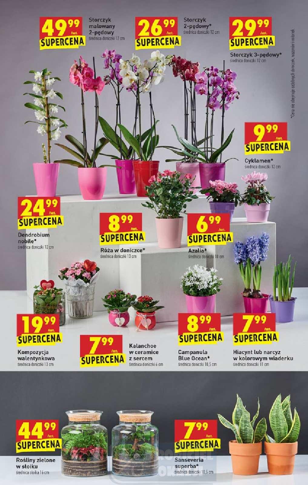 Gazetka promocyjna Biedronka str. 63