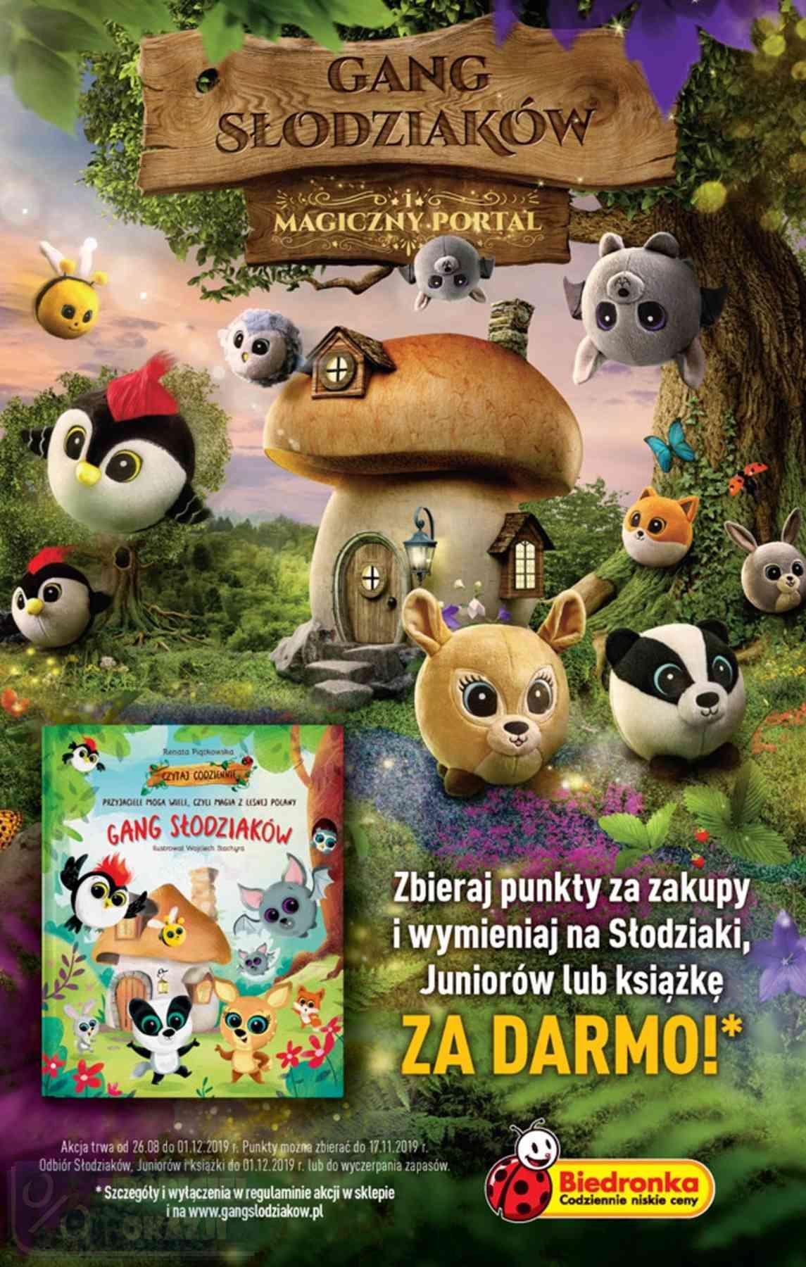 Gazetka promocyjna Biedronka str. 48