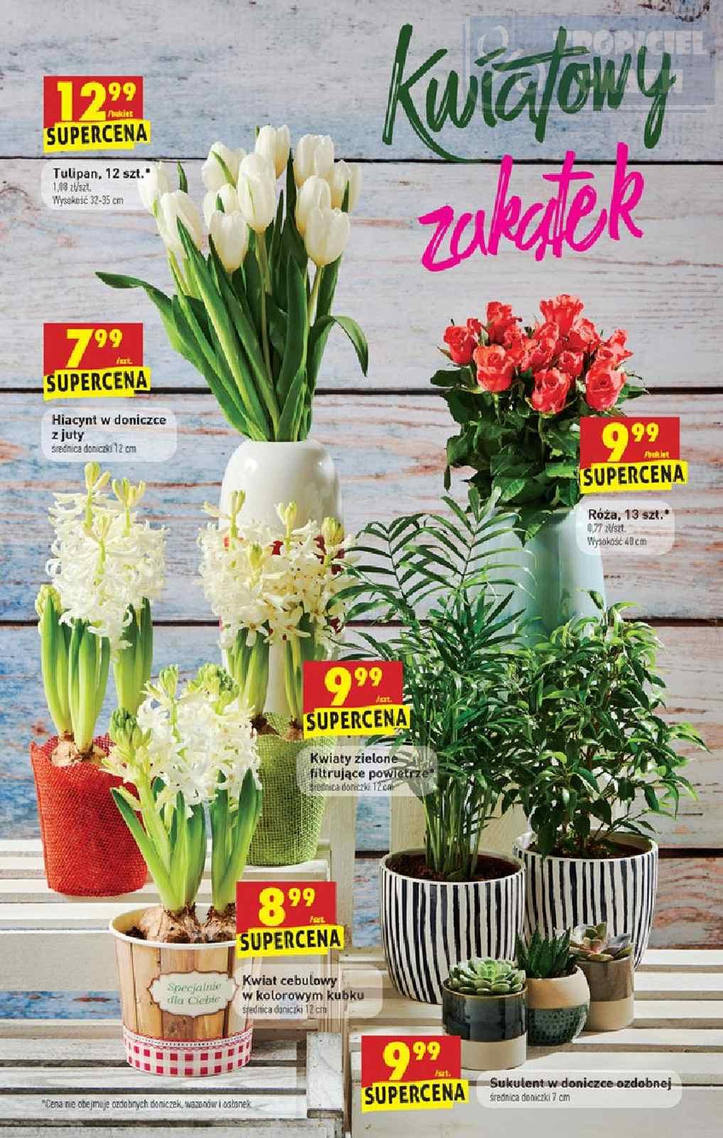 Gazetka promocyjna Biedronka str. 56