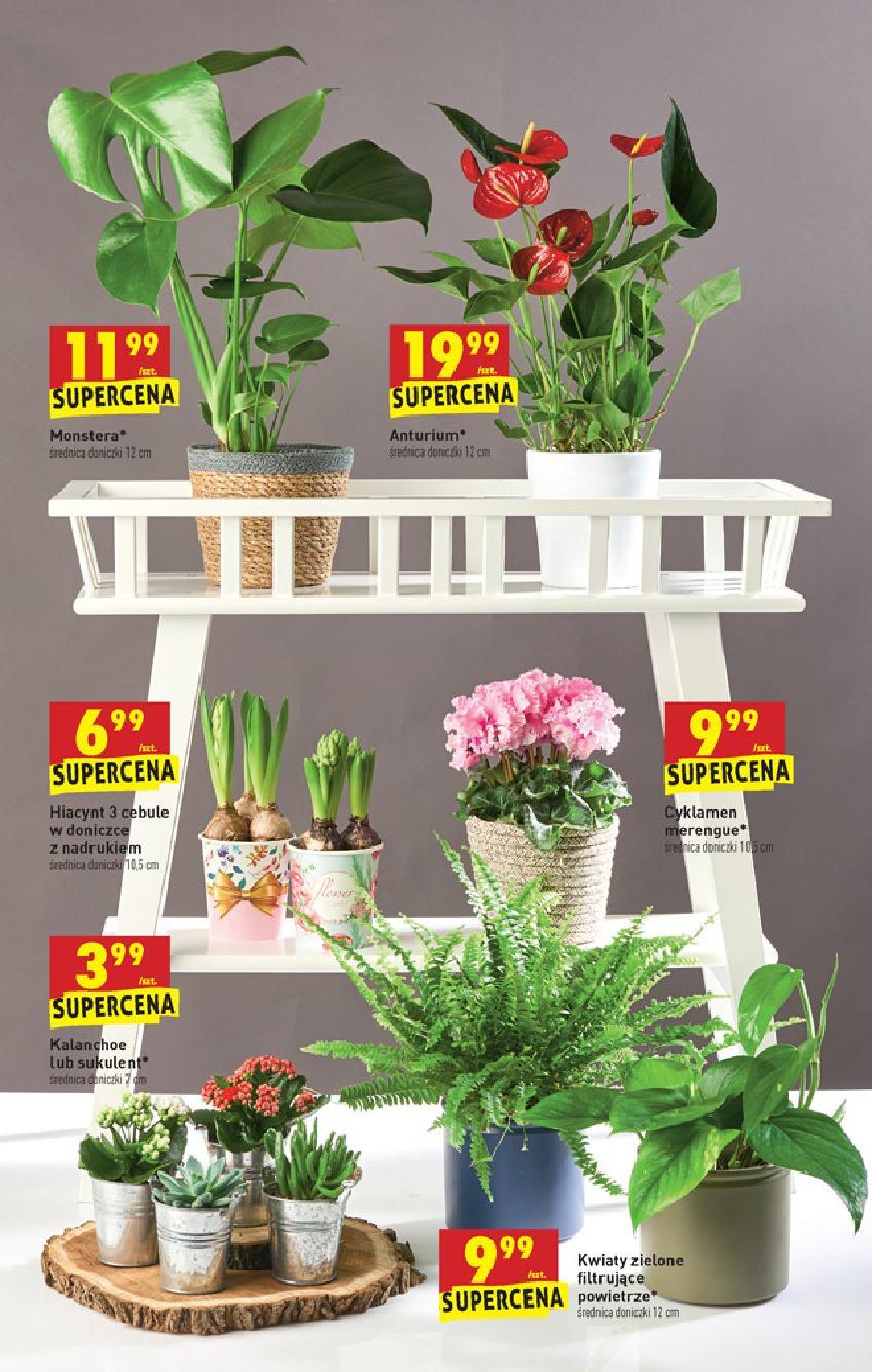 Gazetka promocyjna Biedronka str. 47