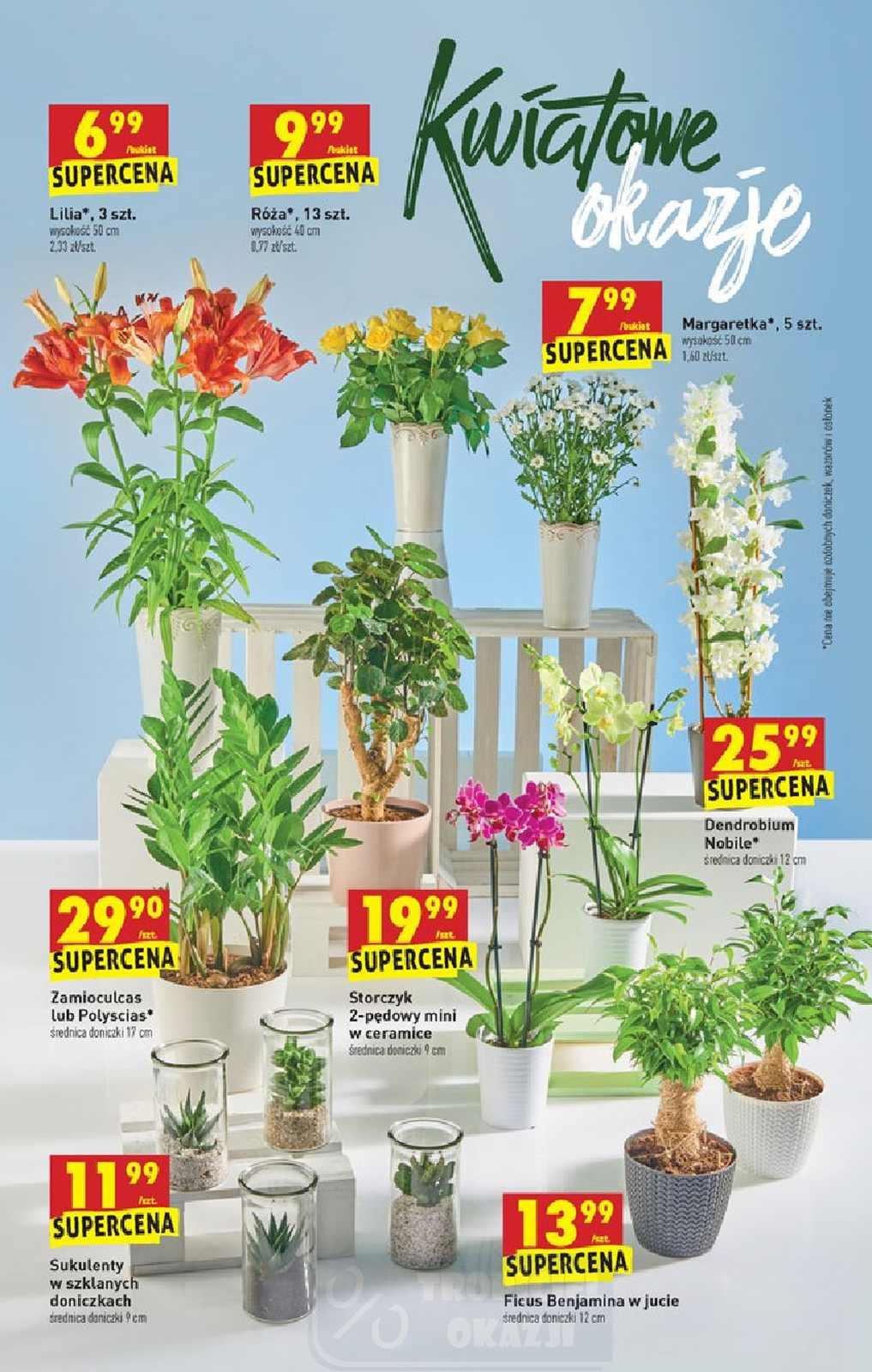 Gazetka promocyjna Biedronka str. 48