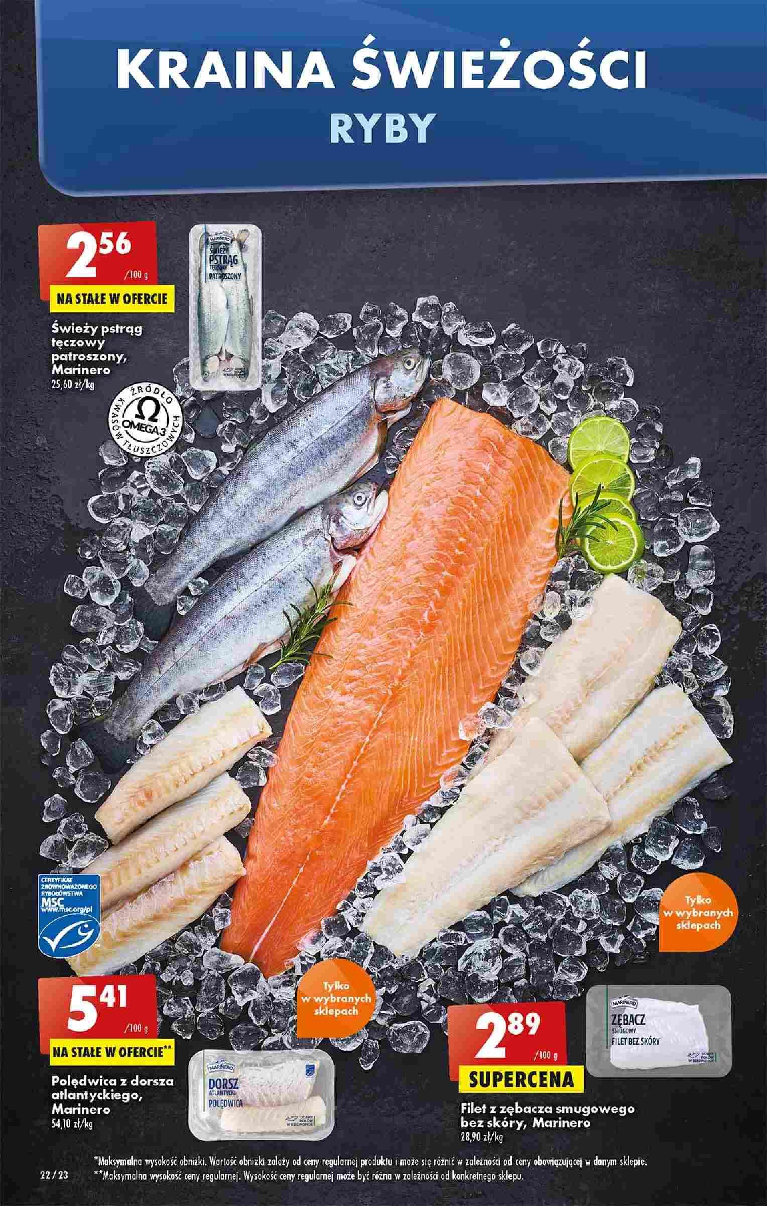 Gazetka promocyjna Biedronka str. 22