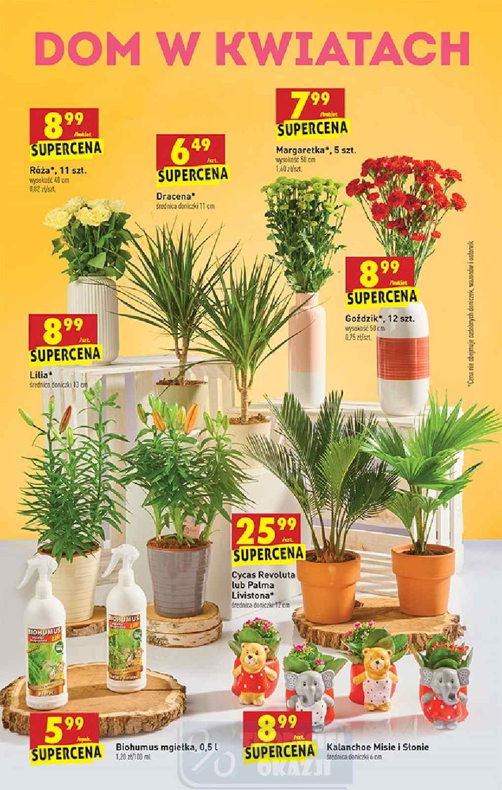 Gazetka promocyjna Biedronka str. 48