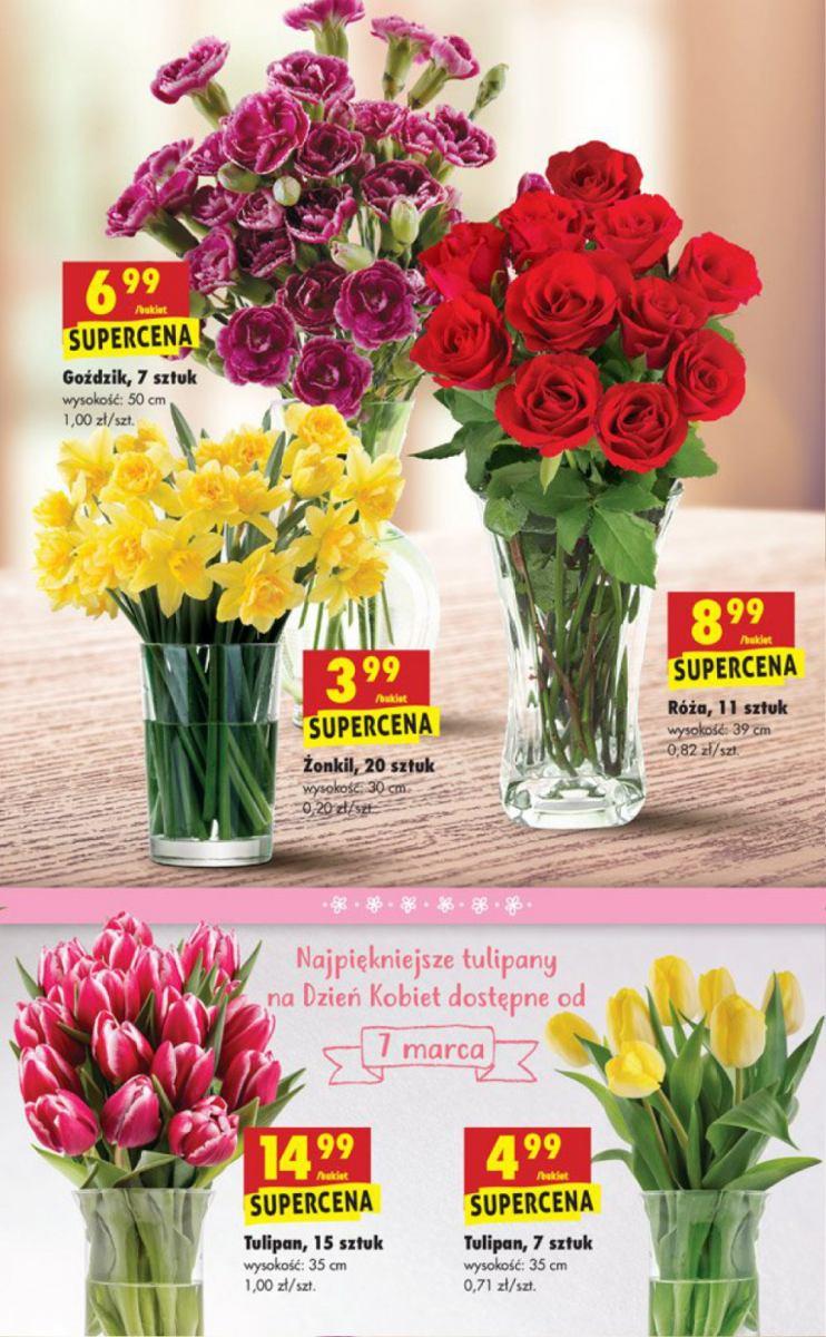 Gazetka promocyjna Biedronka str. 13