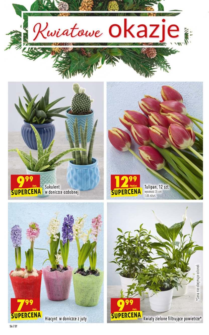 Gazetka promocyjna Biedronka str. 56