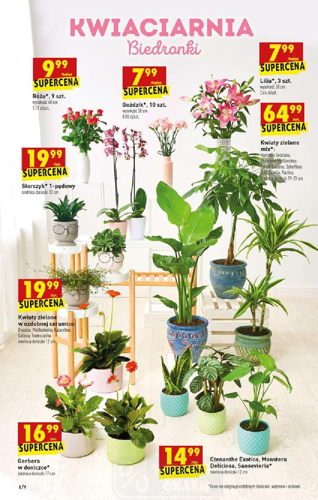 Gazetka promocyjna Biedronka str. 8