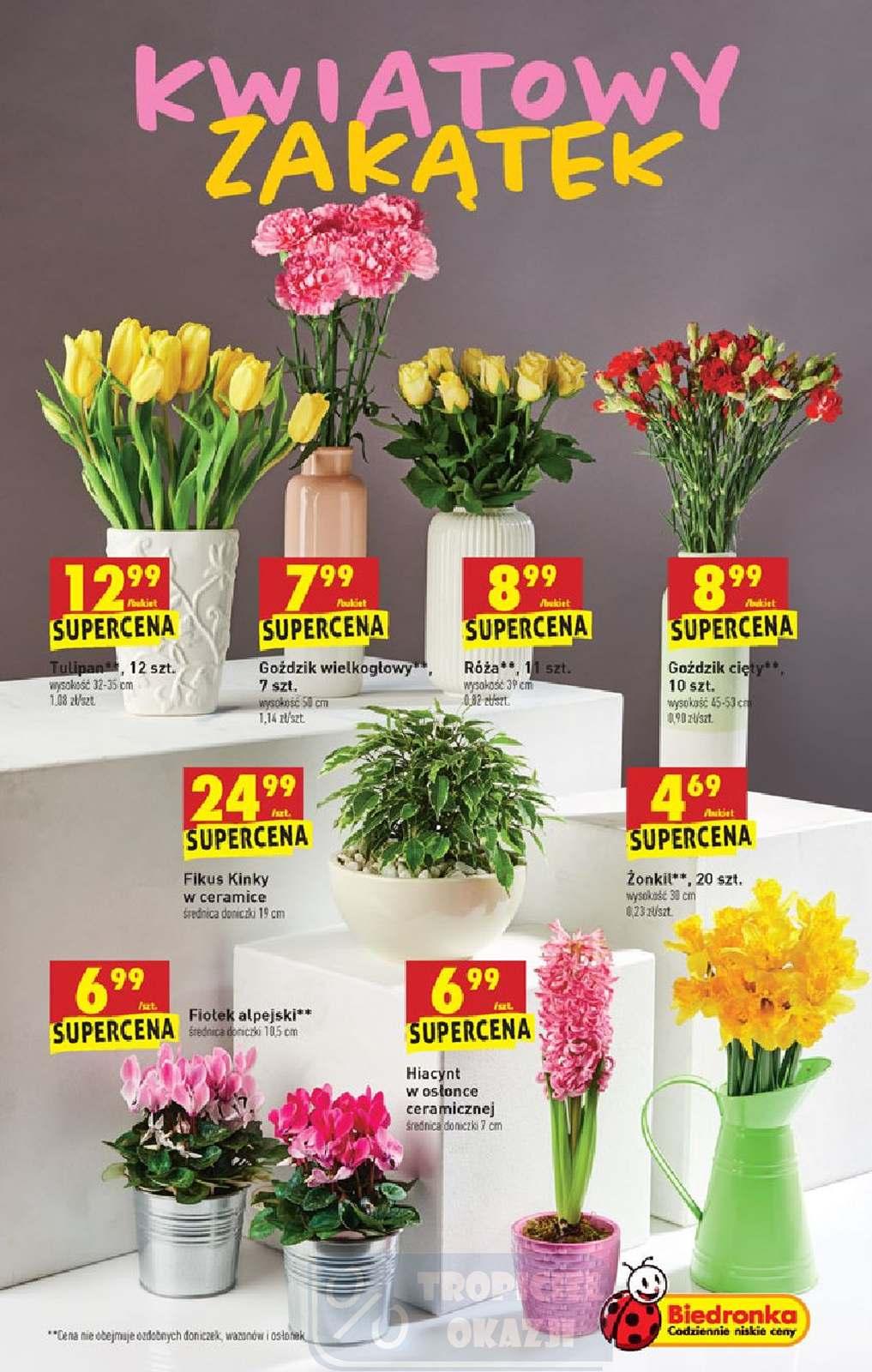 Gazetka promocyjna Biedronka str. 63