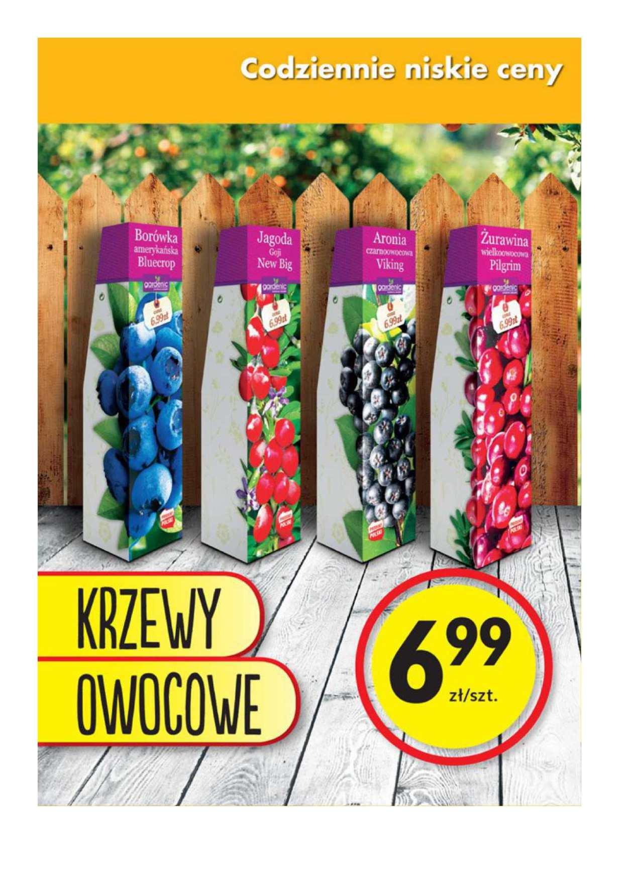 Gazetka promocyjna Biedronka str. 19