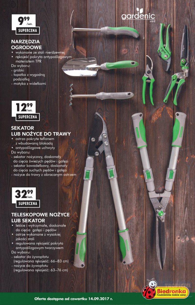 Gazetka promocyjna Biedronka str. 11