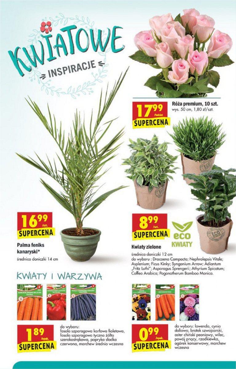 Gazetka promocyjna Biedronka str. 46