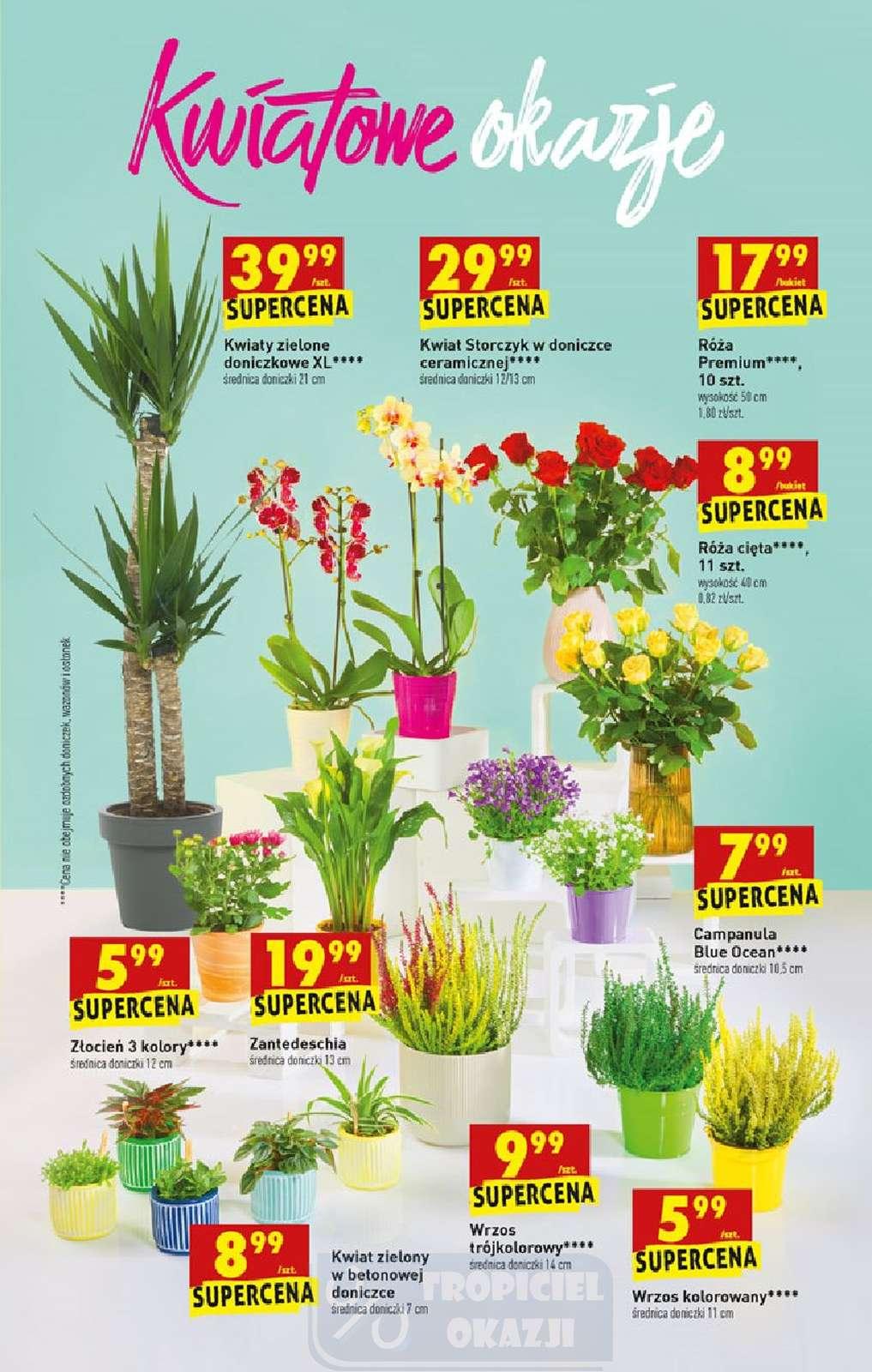 Gazetka promocyjna Biedronka str. 7