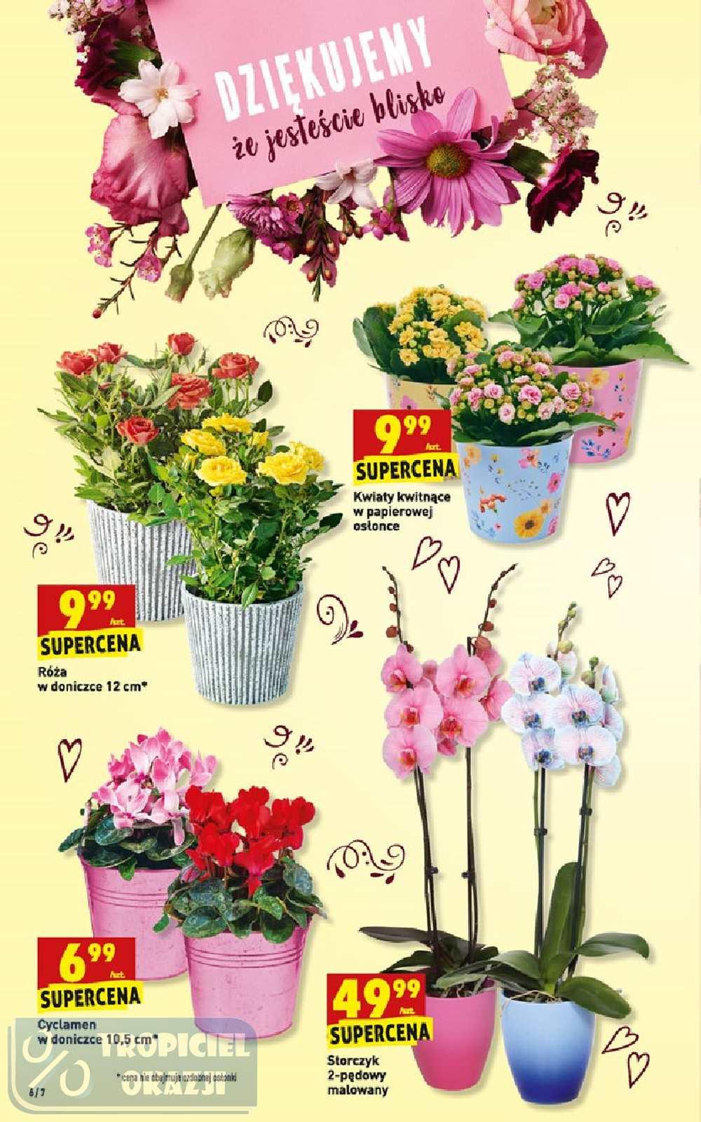 Gazetka promocyjna Biedronka str. 6